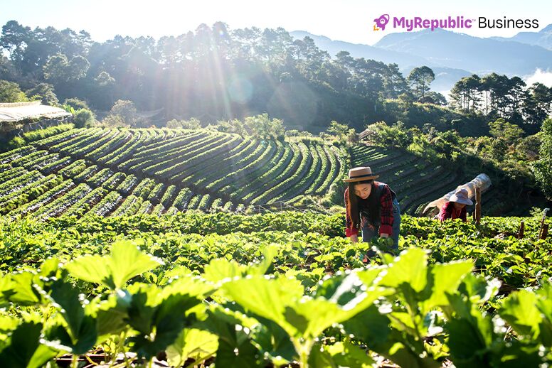 Agriculture and Farming